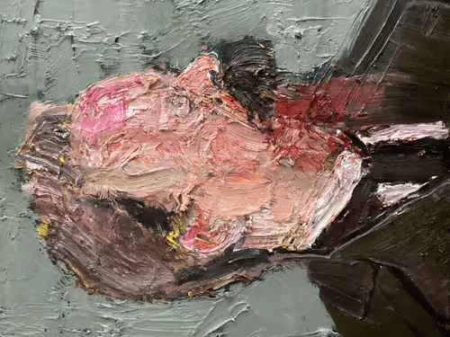 KANDROO Collection - old V2