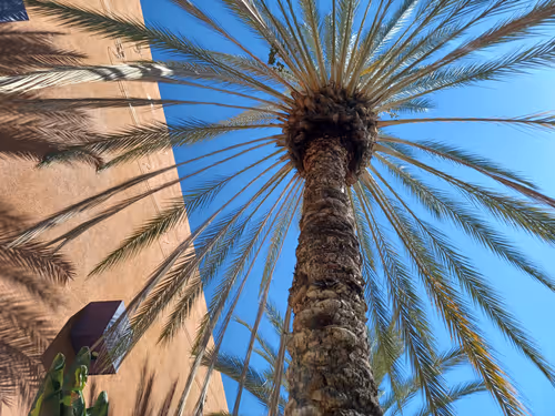 Item #20023781592906440860682440486722008907046268969151224076897509325012195082241 Media