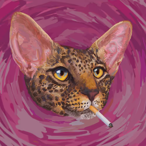 DoesDaniDo Commissions