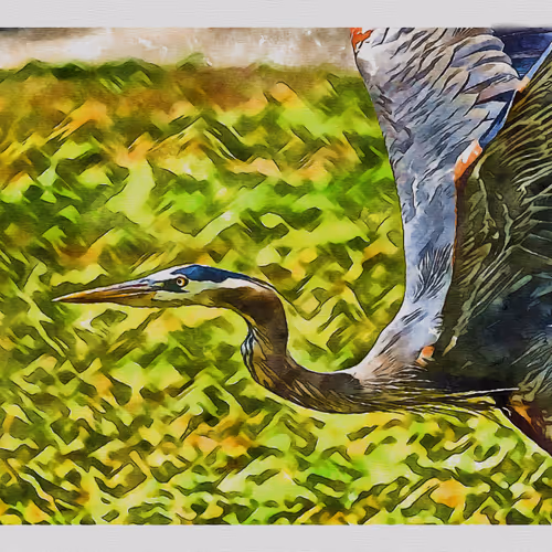 55704534837685659622621715309832868758345944585427688586690141394873134088193