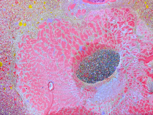 Item #48875037243436648736690181152523716816213915856940744204798714953841187487745 Media