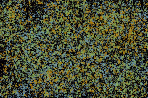 Item #944858660688572096584618472555991747686703840338442188877309813865756753921 Media