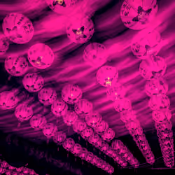 Vibrant Nights: 14 - Purple Lantern Streaks