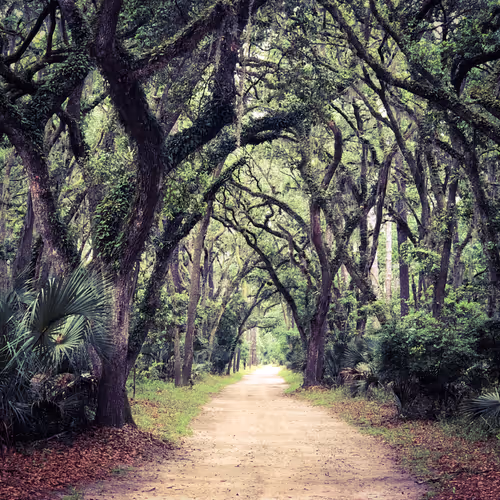 Item #53189486056573159248332941347174809648590364169606588961494996582852666064897 Media