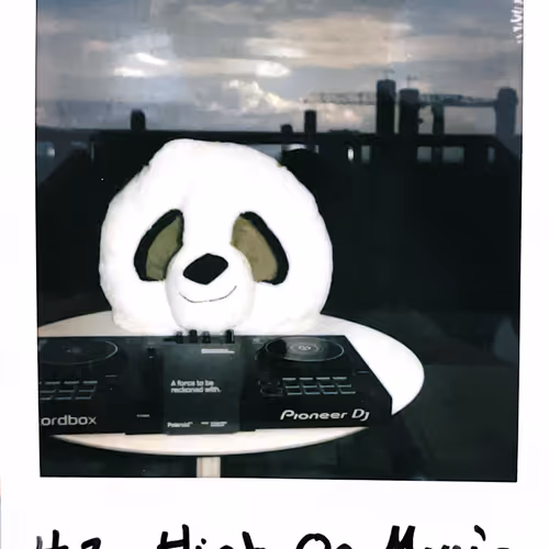 Mrpanda Irl Collection