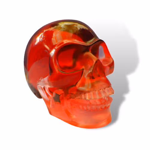 Item #70461142088290827546893108462160056281613253614055342544234748013417622142977 Media