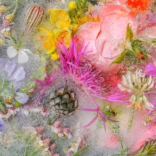 Item #80829721372825377784010953381890255518558028243098186913878117609116920709121 Media