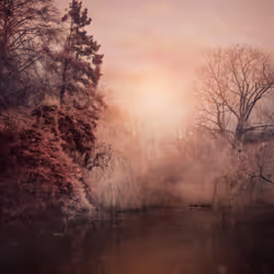 PINK LAGOON