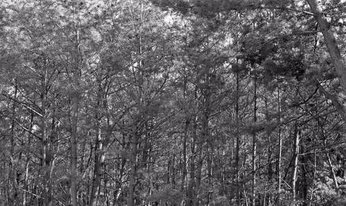 Item #71165997854143450093372358757960361854753460918996014251035868710324095942657 Media