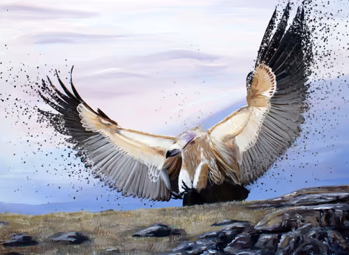 Item #64902397849780822463868627130712450881777664741373901153445319892269677936641 Media