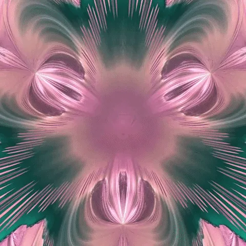 Item #58316573958637232052485233279557501779660372853983059154556752534716121350145 Media