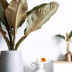 66422353073570628334893908788165870234092395705762610755217661129036451020801