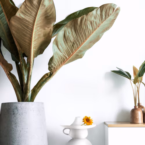 66422353073570628334893908788165870234092395705762610755217661129036451020801