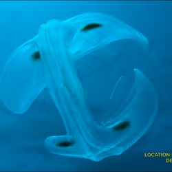 80965803268169370603932631570667161375508893671094224909166963878622807457793