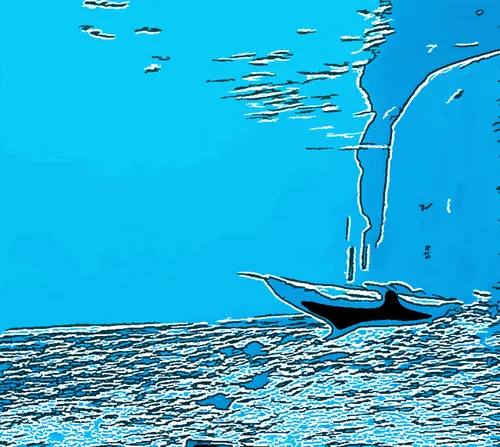 Item #93913250498272236724471848298339074761643801539036951794417632449153063714817 Media