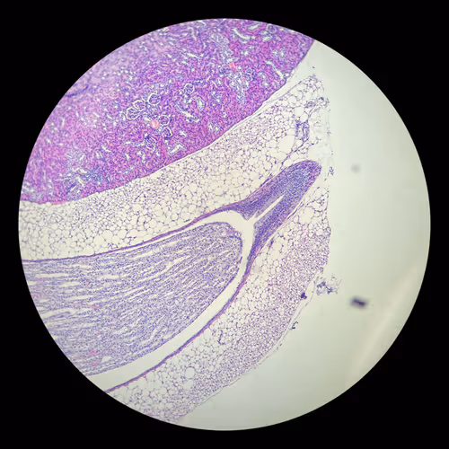 Item #105928769027996618769210176023060289105656660859219797868628404456645384470529 Media