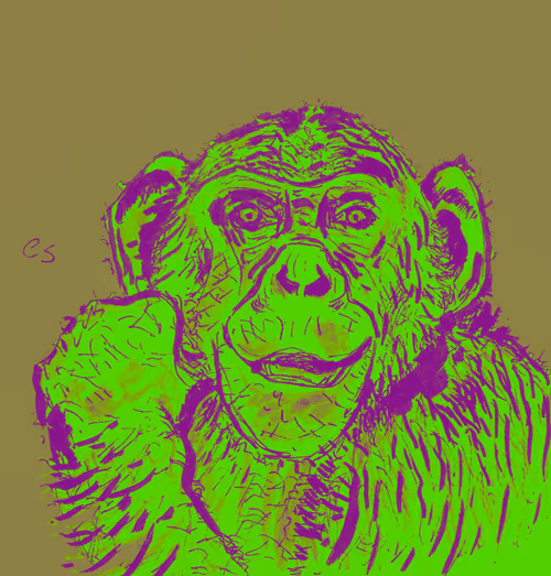 Item #39091703505809475788956350880894769302011138939225893693019847047573116289025 Media