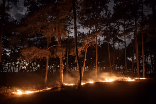 Item #80141737210111839928667523403933295145384279437019335330195524786275758374913 Media