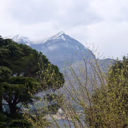 Mägi