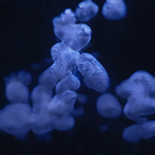 10747010836533944779033332924250898640797899584395683491856861520685766279169