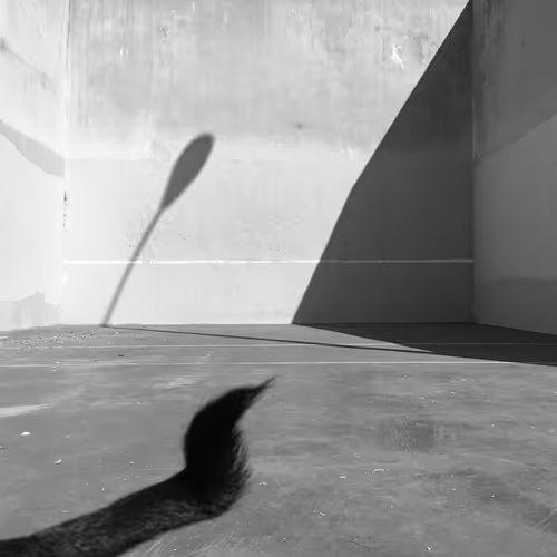 Item #56431751608181922231259635946092067407977788553703326303680802261272711135233 Media