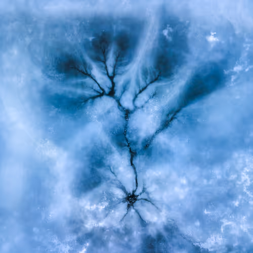 Item #44597214207808434690728600590910675747721082411314355056024202370389456715777 Media