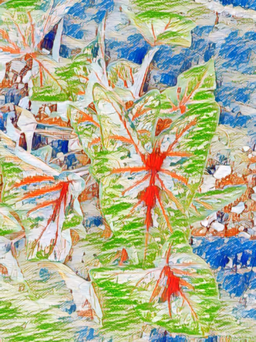 Item #69261177602478584146078213691104273677815526894191982293268527690216604958721 Media