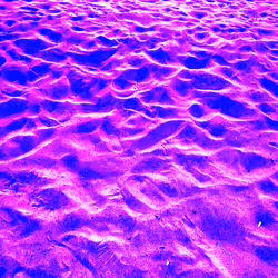 98843954857266856101330559780238873570552098425130206222908041831837333454849