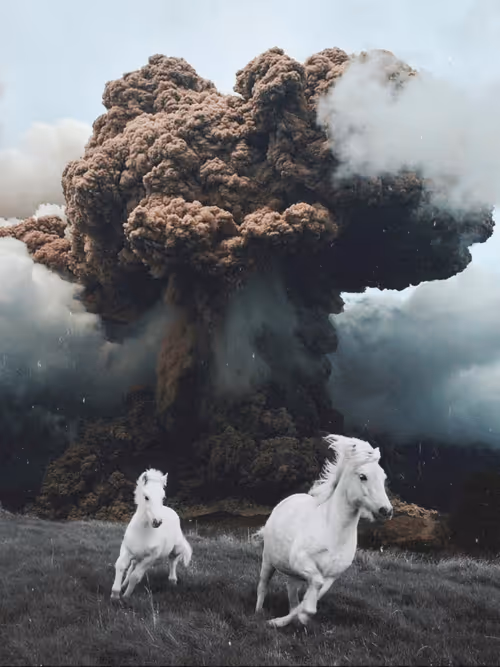 Item #101753459392207884073005542579533137391077031785380586069909448792688214147073 Media