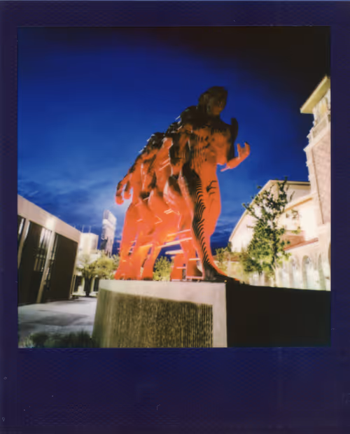 Item #103925043226850068411214111980778021596201122013188060205337914408192459145217 Media