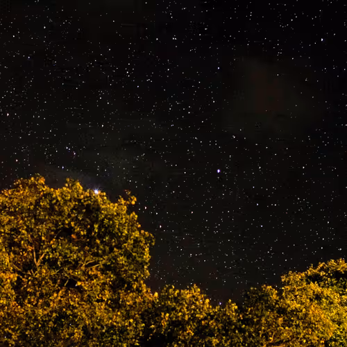 g33kyvinny Collection