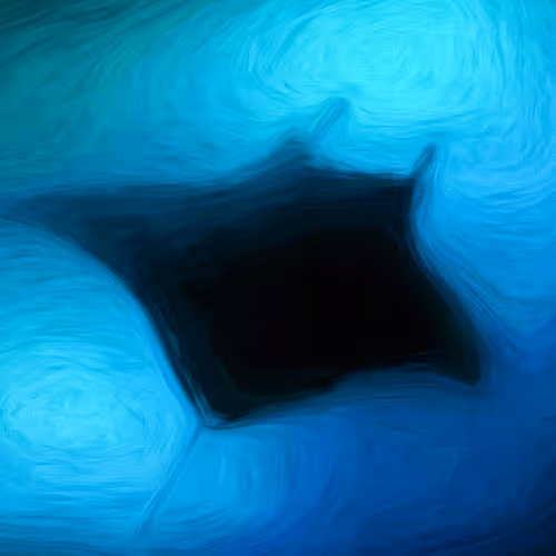 Manta Dreams