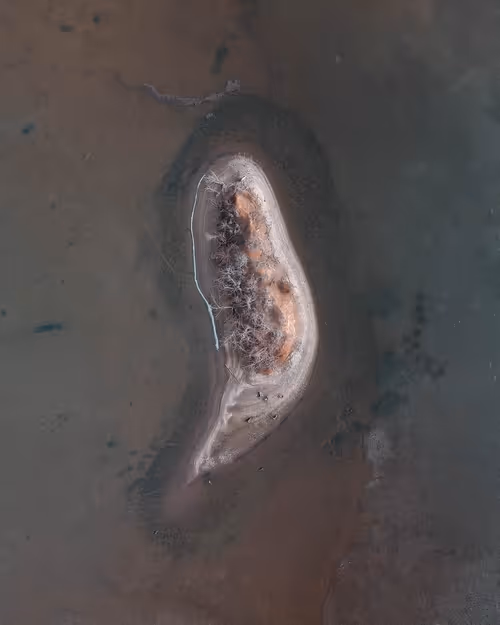 Item #100600280271040798317723628260513137156606623100883316454227272118870663495681 Media