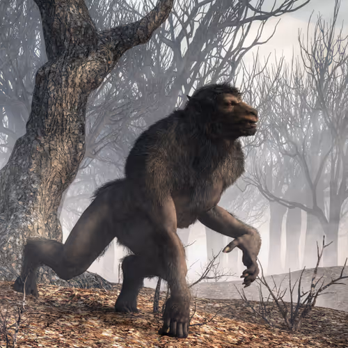 15201862250514145958676777466825728141953005429687029988591517143664588488705