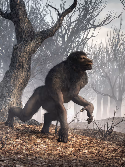 Item #15201862250514145958676777466825728141953005429687029988591517143664588488705 Media