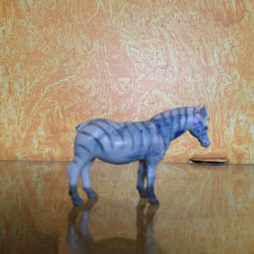 Lonely Zebra