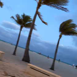 Hollywood Beach, Florida 3