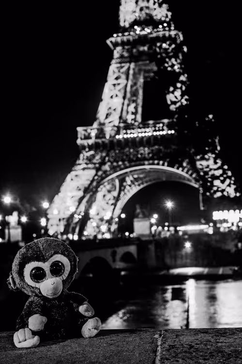 Item #78523124948883737191824425685370443041181342440538518293301156655870016225281 Media