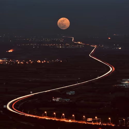 Untitled Collection #206848804