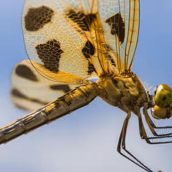 105090597216655980557633683149084672751347825439893935605656298016621818019841