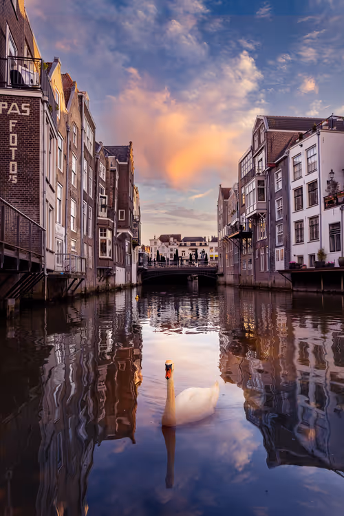 Item #60993586106413986856371216123153526277150662027988523139078824159672736415745 Media