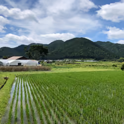 countryside of Japan