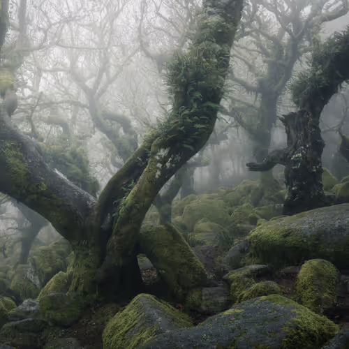 MYSTICAL XXXIX (EROSION)