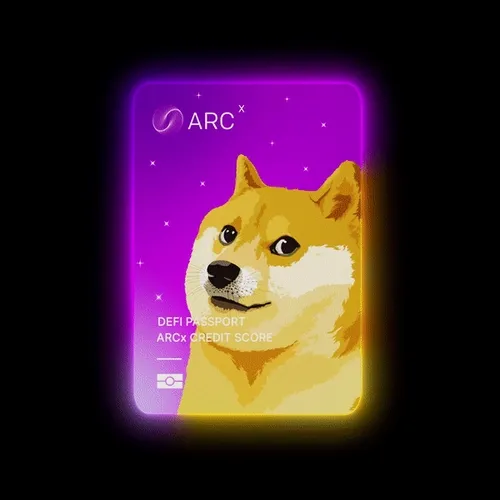 Arcx Defi Passport Skins
