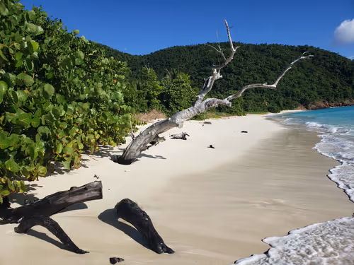 Item #102443687846018542975776468803252172569835645019437735105478418419043056746497 Media