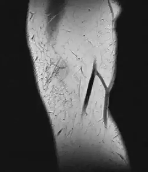 Item #11780915356901891937150191052604117223978980698243640119023280891566634303489 Media