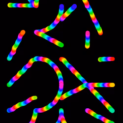 38441269529530760174436903279067870552302020082136112054512560628824551718913