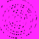 65794518055208250001806863398550890058191568342340331966198628874684970565635