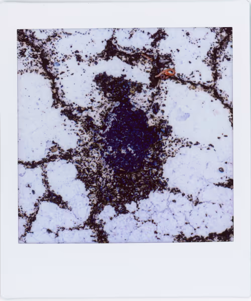 Item #51249984975833416757455642800469001937370100333322465523471565109113829457921 Media