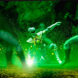 The Green Ranger